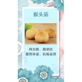 健康养生5935