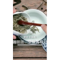 健康养生5972