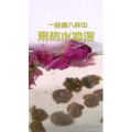 健康养生5994