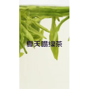 健康养生5996