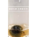 健康养生6009