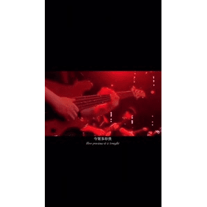 健康养生6053