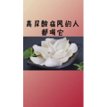 健康养生6122