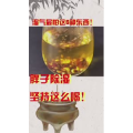 健康养生6131