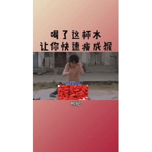 健康养生6153
