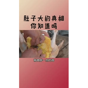 健康养生6229