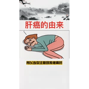 健康养生6232