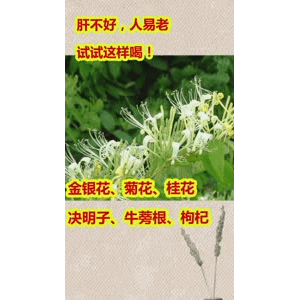 健康养生6256