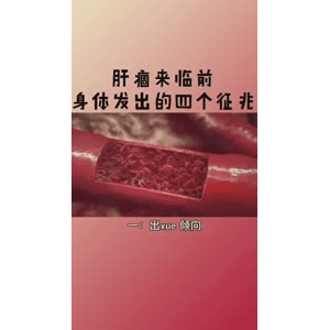 健康养生6321