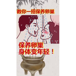 健康养生6346