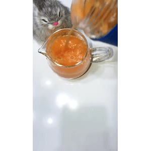 果汁牛奶等养生素材可带货使用255