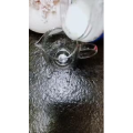 果汁牛奶等养生素材可带货使用273