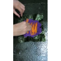 果汁牛奶等养生素材可带货使用307