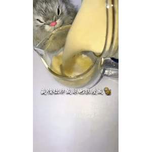 果汁牛奶等养生素材可带货使用336
