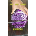 果汁牛奶等养生素材可带货使用390