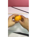 果汁牛奶等养生素材可带货使用606