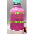 果汁牛奶等养生素材可带货使用1491