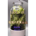 果汁牛奶等养生素材可带货使用1555