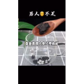 果汁牛奶等养生素材可带货使用1667