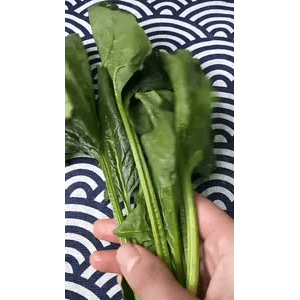 美食菜系做法13598