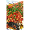 美食菜系做法13610