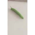 美食菜系做法13638