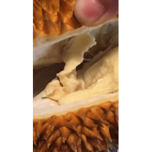 美食菜系做法13662