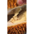 美食菜系做法13662