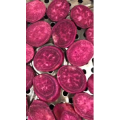 美食菜系做法13672
