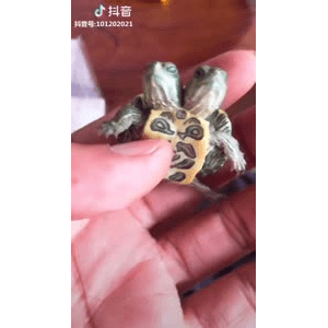 美食菜系做法13678