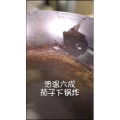 美食菜系做法13680