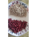 美食菜系做法13688