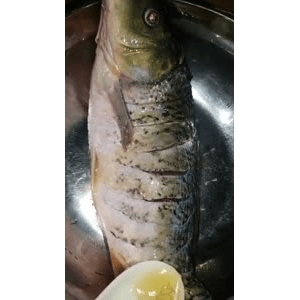 美食菜系做法13712