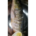 美食菜系做法13712