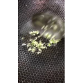 美食菜系做法13724