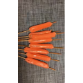美食菜系做法13725