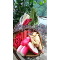 美食菜系做法13870