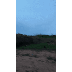 美食菜系做法13917