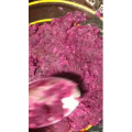 美食菜系做法13982