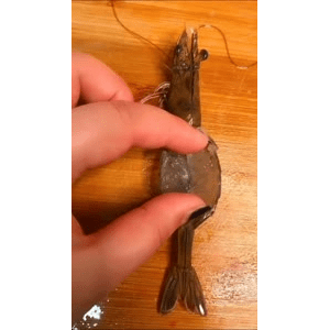 美食菜系做法13995