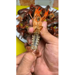 美食菜系做法14001
