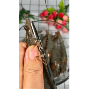 美食菜系做法14084