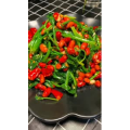 美食菜系做法14095