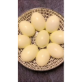 美食菜系做法14174
