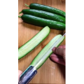 美食菜系做法14192