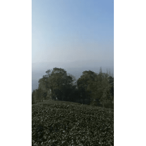 美食菜系做法14193