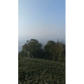 美食菜系做法14193