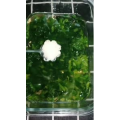 美食菜系做法14233