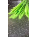 美食菜系做法14330