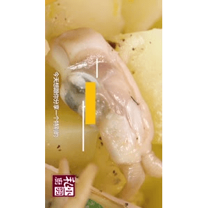 美食菜系做法14543